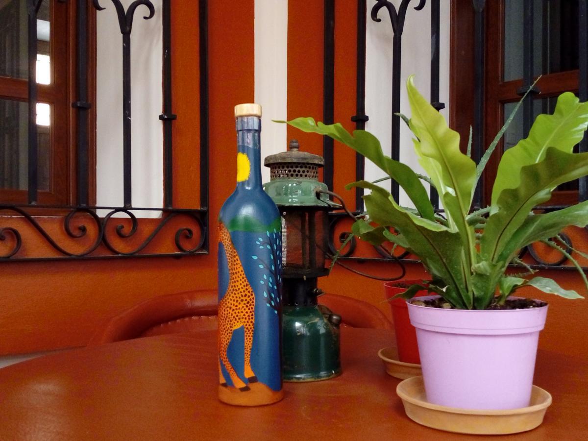 Casa Agave Oaxaca Bed & Breakfast Dış mekan fotoğraf