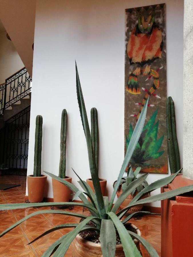 Casa Agave Oaxaca Bed & Breakfast Dış mekan fotoğraf