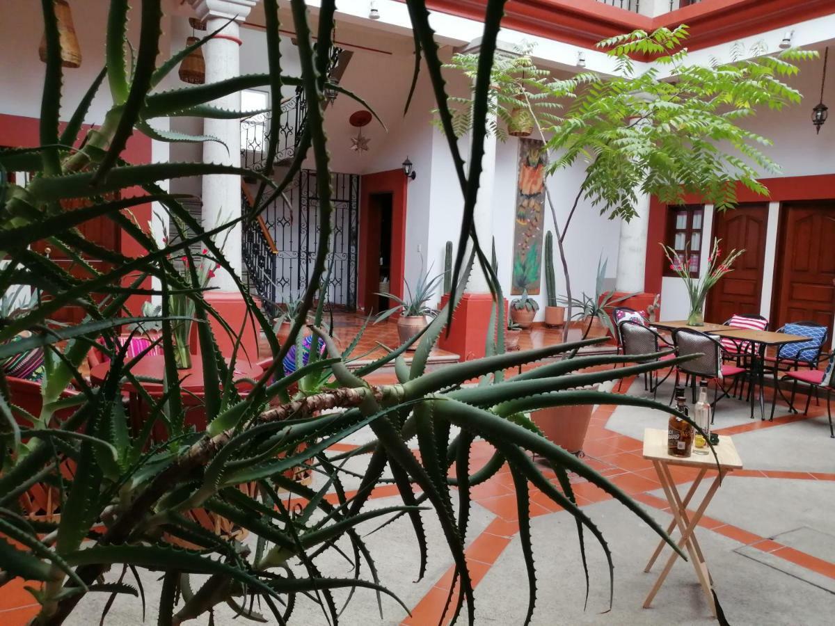 Casa Agave Oaxaca Bed & Breakfast Dış mekan fotoğraf